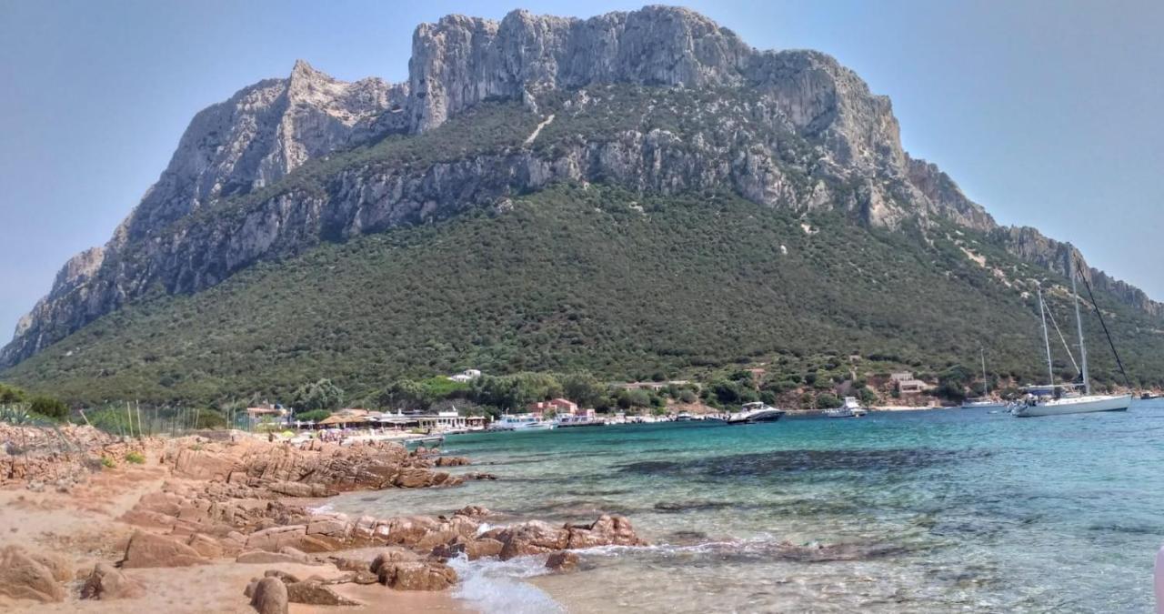 Glicine Daire Vaccileddi Dış mekan fotoğraf
